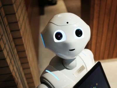 Will Robots Be the Ultimate Housekeepers of the Future?